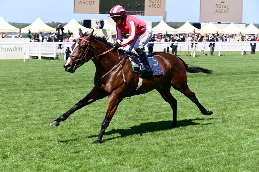 Bradsell winning the Coventry Stakes at Royal Ascot under Hollie Doyle