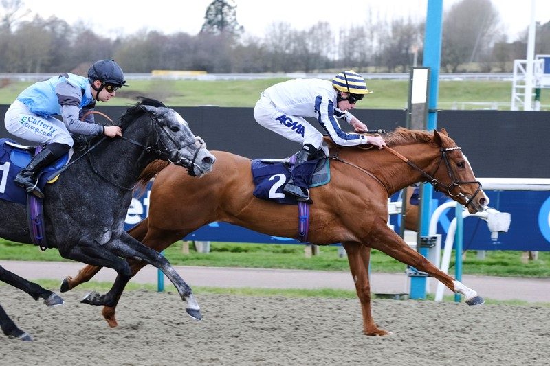 Colors Of Freedom winning under Luke Morris at Lingfield on 27th January.