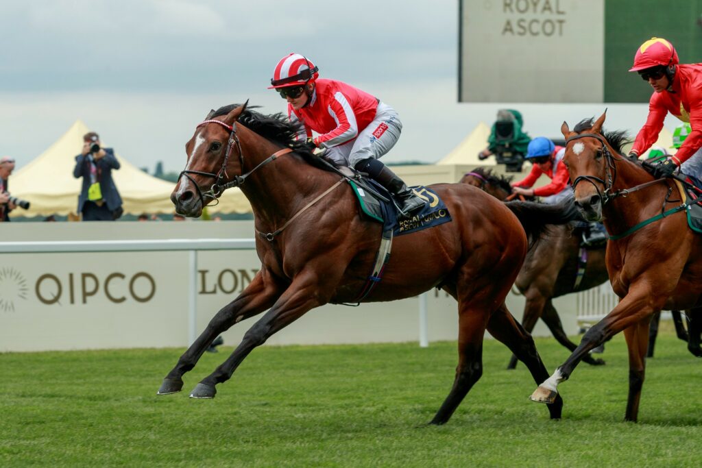 Bradsell wins the Group 1 King's Stand Stakes at Royal Ascot under Hollie Doyle