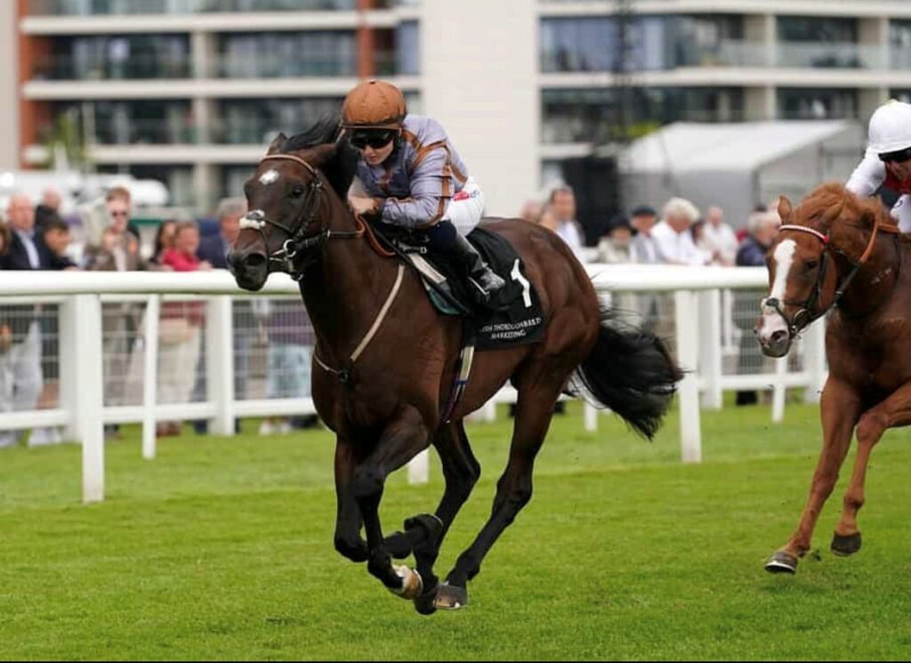 Action Point winning the Listed Rose Bowl Stakes at Newbury under Hollie Doyle