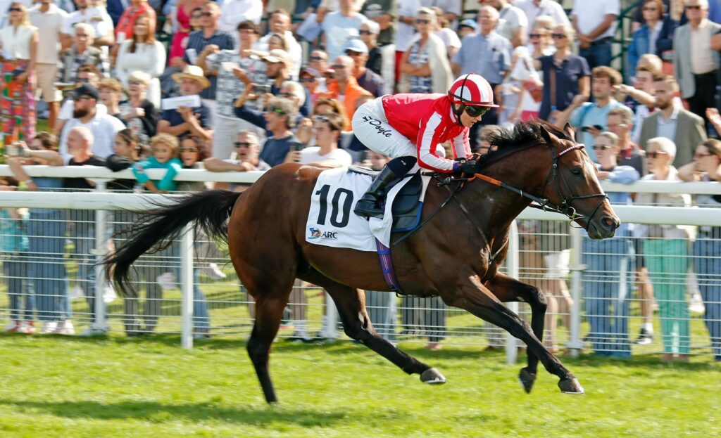 Bradsell winning the Listed Prix du Cercle at Deauville under Hollie Doyle