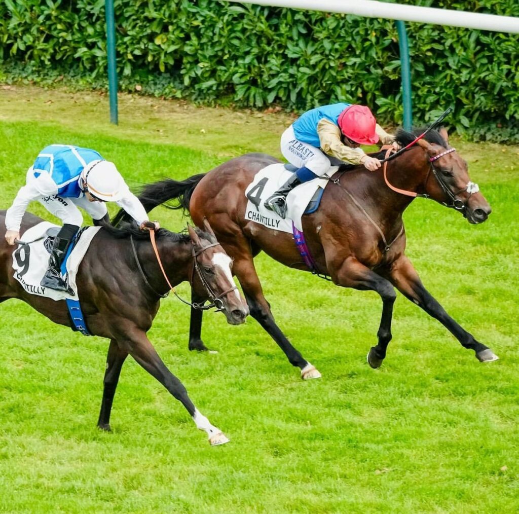 Electrolyte winning the Group 3 Prix Eclipse at Chantilly under Mickael Barzalona