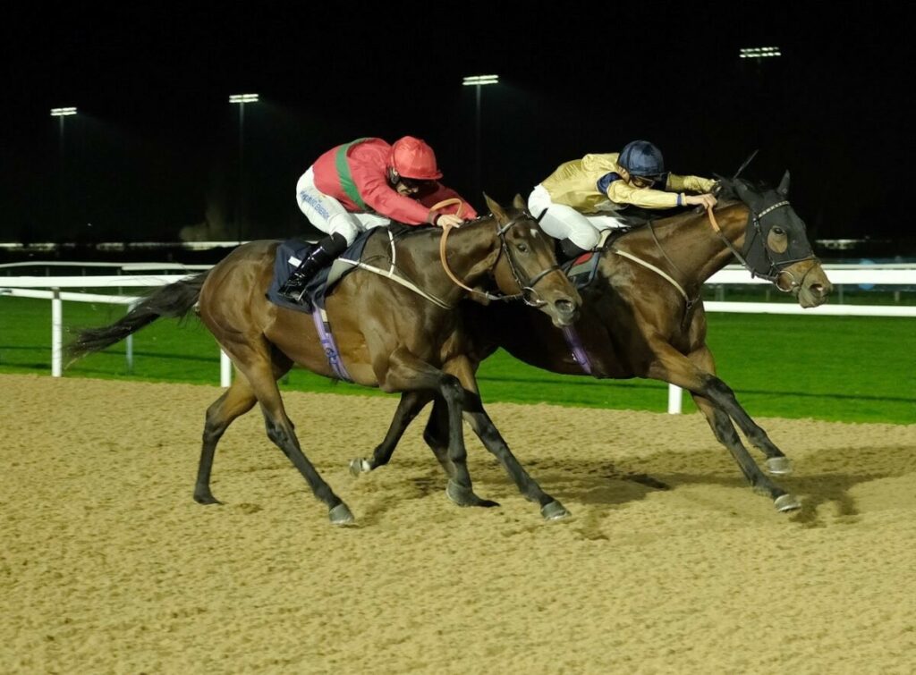 Port Light winning on debut at Southwell under Pierre-Louis Jamin