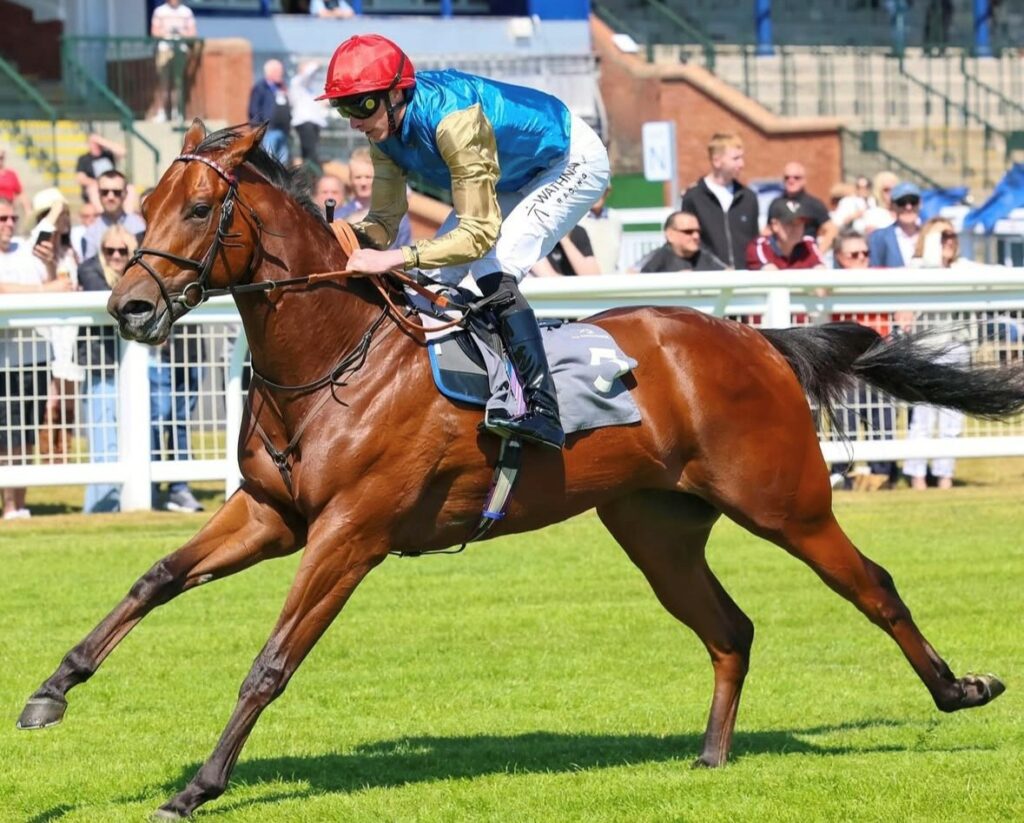 Underwriter winning on debut at Ayr under James Doyle