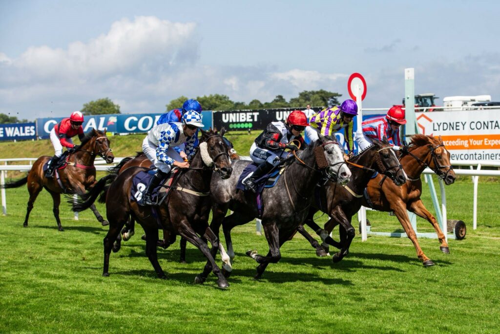 Blue Yonder winning at Chepstow under Brodie Hampson, bringing up our 800th career winner.