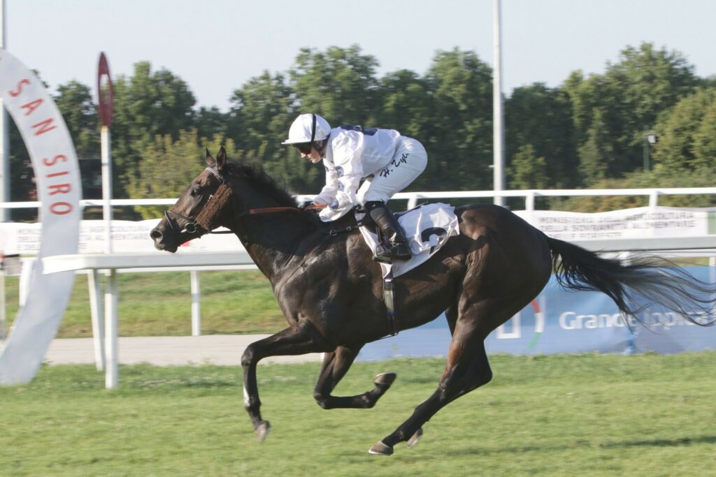 Eternal Elixir winning the Premio Estate - Memorial Arturo Brambilla in Milan under Hollie Doyle.