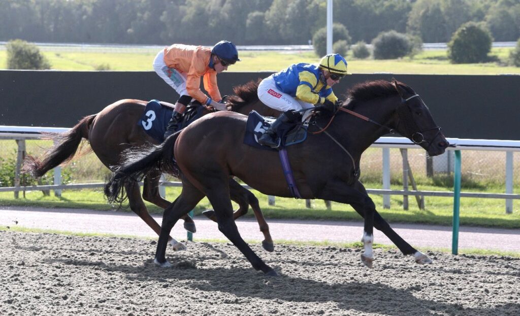 Summertime Blues wins at Lingfield under Hollie Doyle