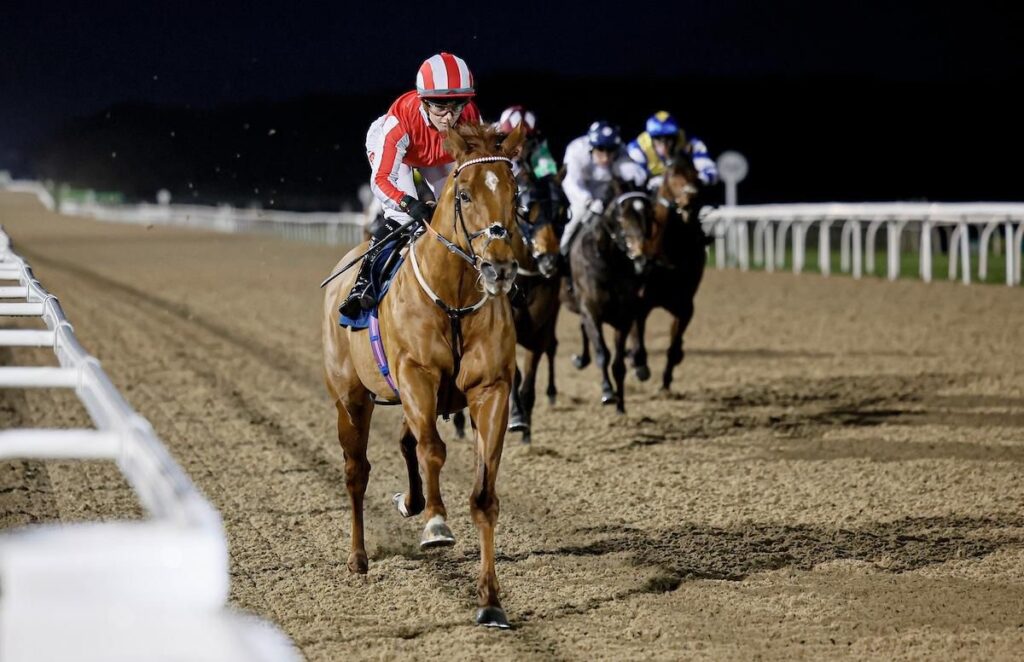 Dagger Strike winning at Newcastle under Hollie Doyle to bring up our final winner of 2025.