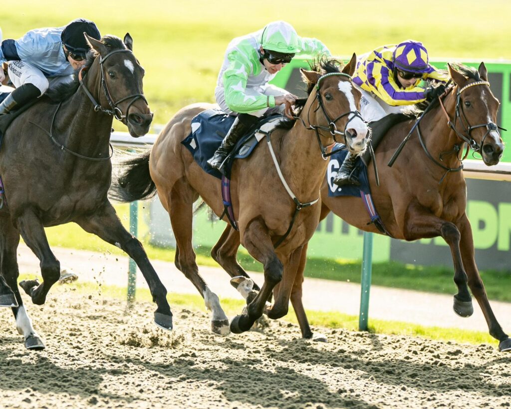 Numero Vingt winning at Lingfield under Luke Morris