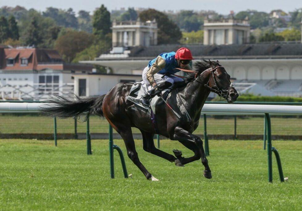 Aesterius winning the Group 3 Prix d'Arenberg at Longchamp under James Doyle