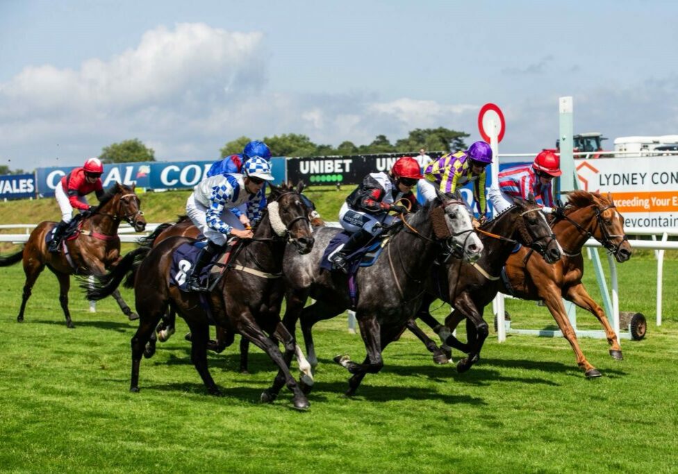 Blue Yonder Chepstow Blue Yonder winning at Chepstow under Brodie Hampson, bringing up our 800th career winner.