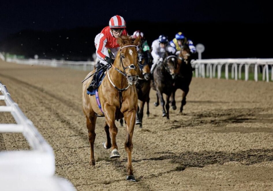 Dagger Strike winning at Newcastle under Hollie Doyle to bring up our final winner of 2025.