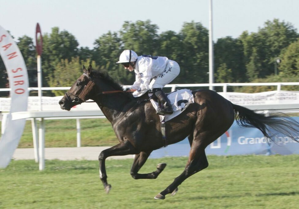 Eternal Elixir winning the Premio Estate - Memorial Arturo Brambilla in Milan under Hollie Doyle.