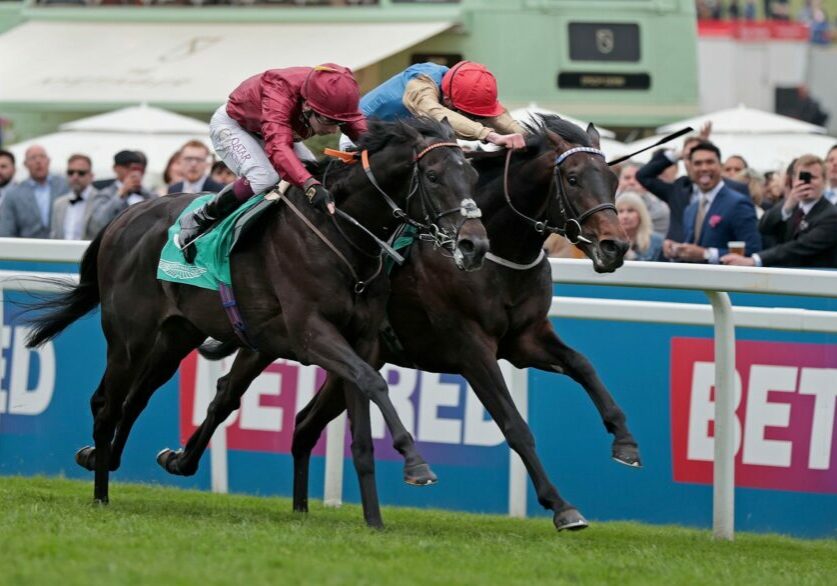 Evade winning the Listed Surrey Stakes at Epsom under Oisin Murphy.