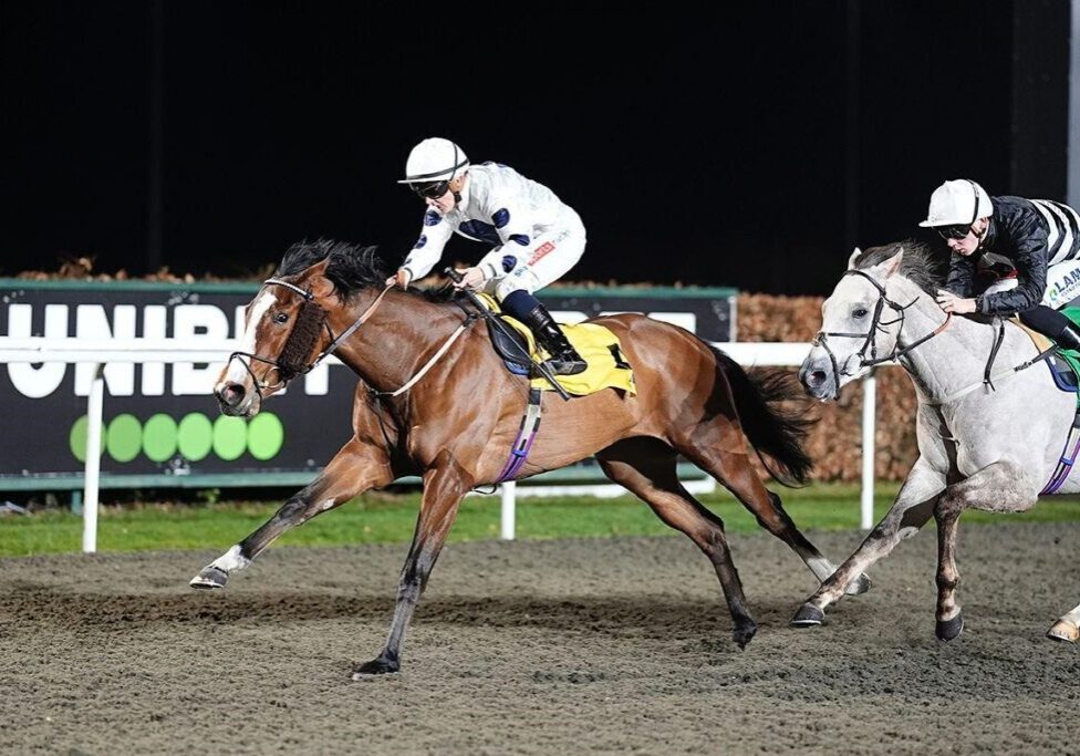 Hamaleel winning at Kempton under Hollie Doyle for Salem Rashid Bin Ghadayer
