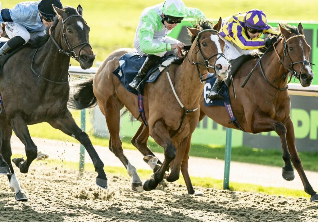 Numero Vingt winning at Lingfield under Luke Morris