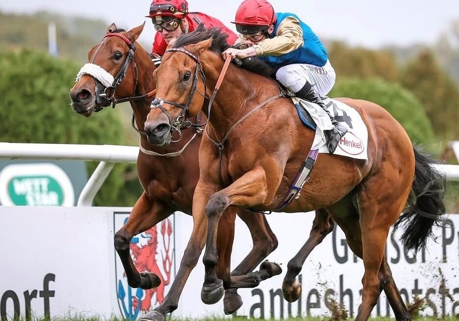 Shartash Dusseldorf Shartash battling to Listed success at Dusseldorf for Wathnan Racing under Luke Morris