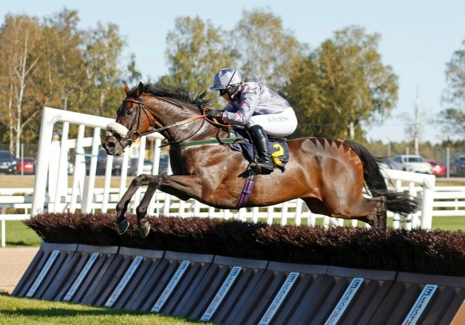 Throne Hall winning the H.M.Drottningens Pris at Bro Park in Sweden under Brodie Hampson.