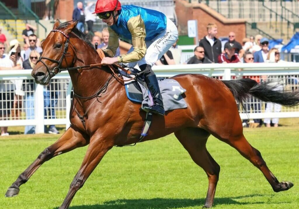 Underwriter winning on debut at Ayr under James Doyle